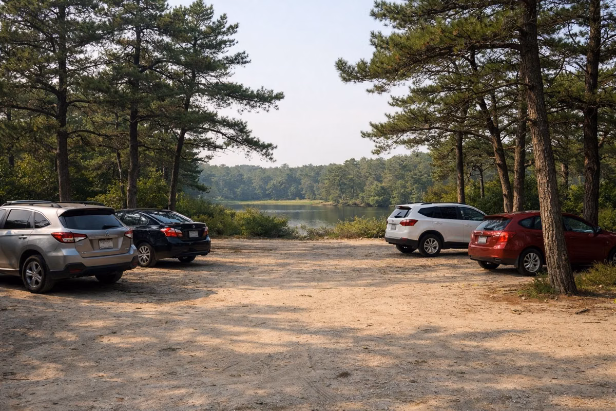 A sandy parking area with a few cars under pitch pines
