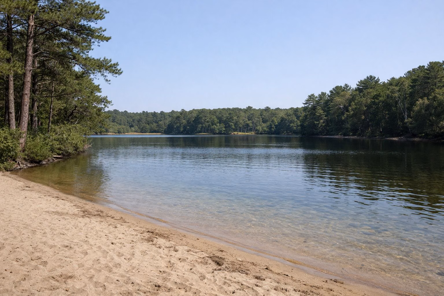A small sandy beach on a calm pond with pines along the shore