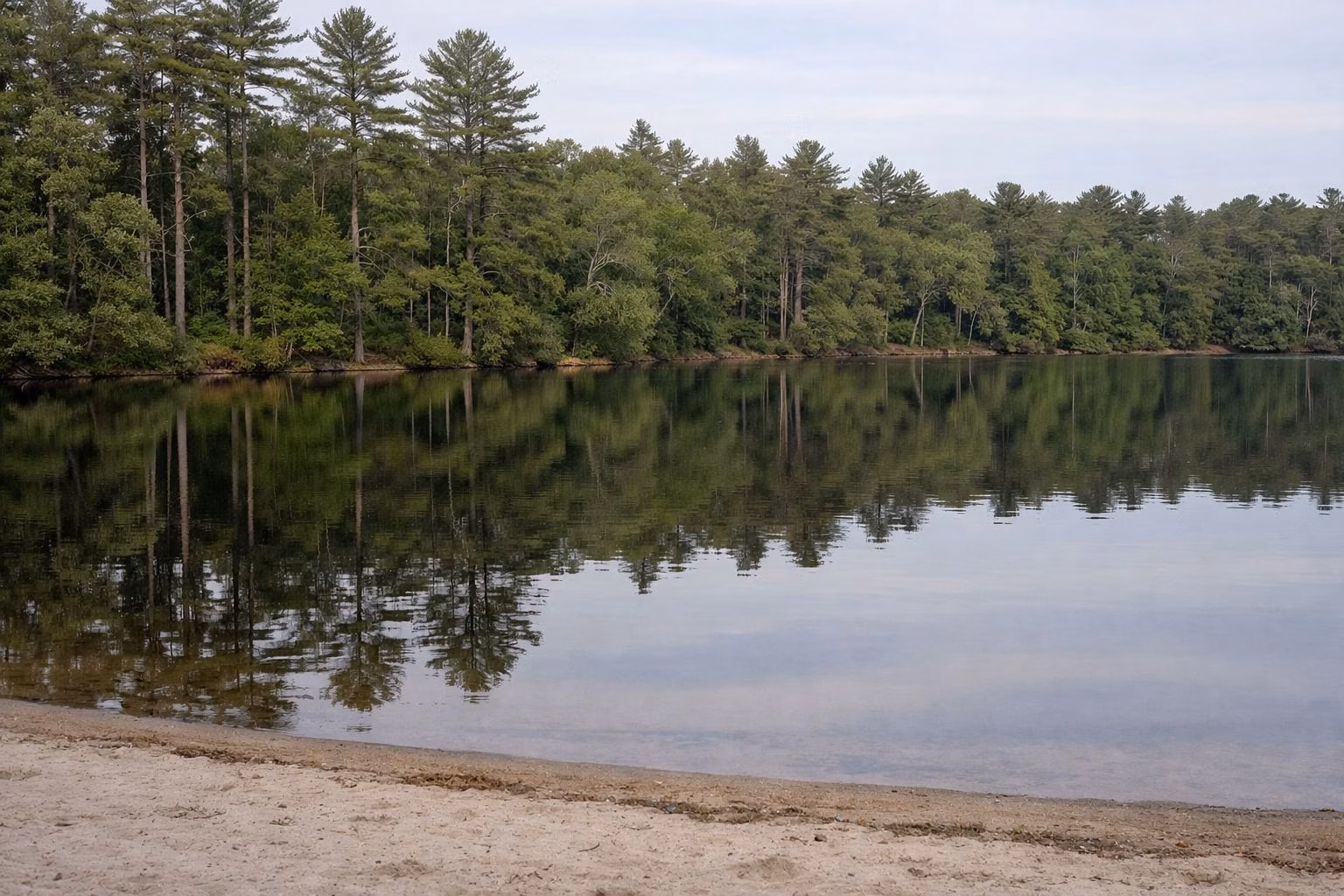 A wide calm pond with tall pines reflected in the water
